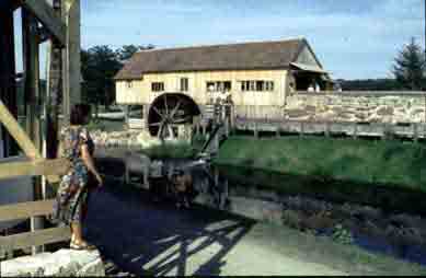 Bild 6 S&auml;gem&uuml;hle